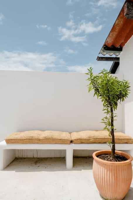 Green Garage Bayonne Ngoại thất bức ảnh