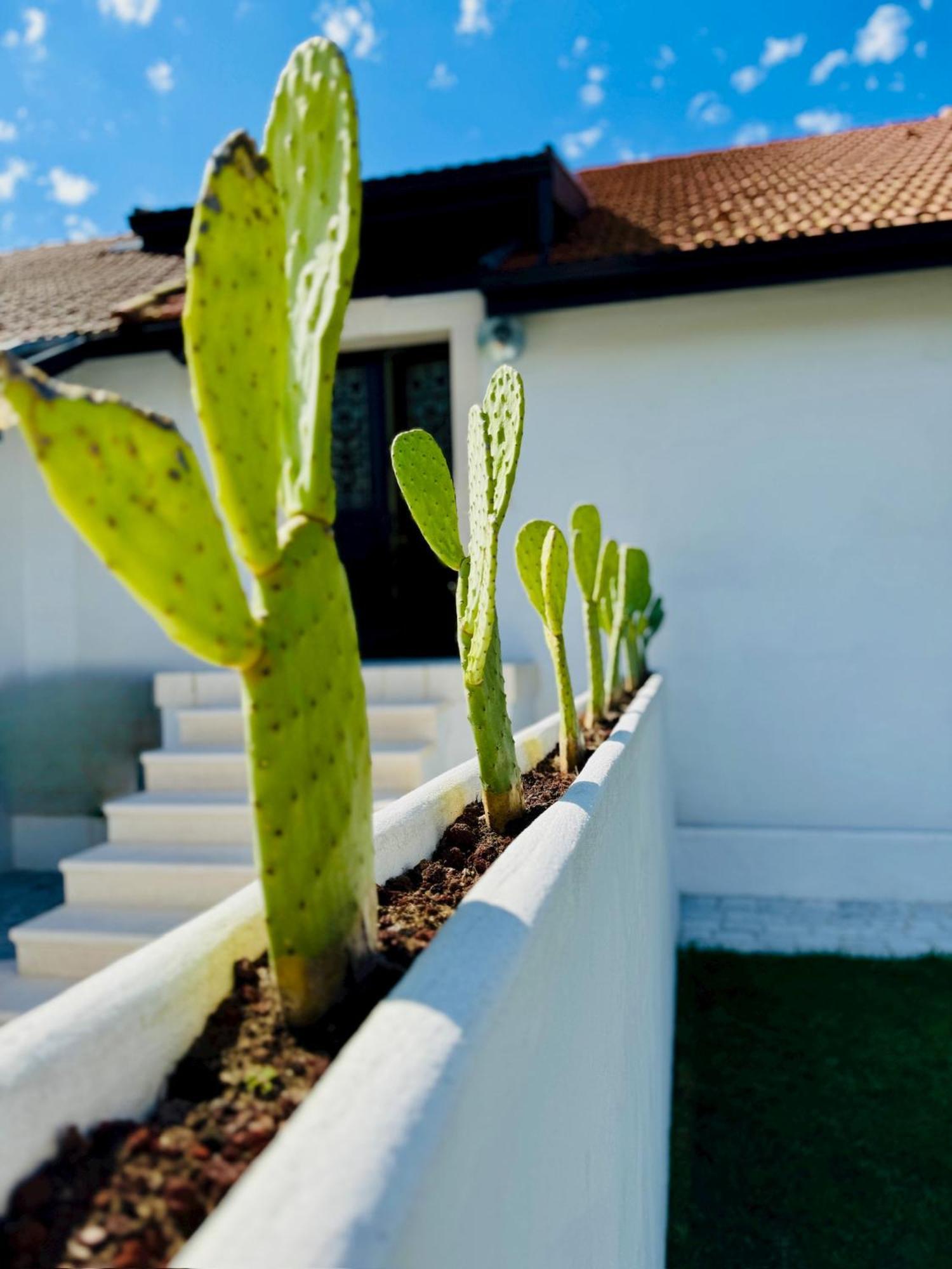 Green Garage Bayonne Ngoại thất bức ảnh